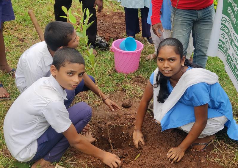 cambioclimatico-india-plantacion.jpg